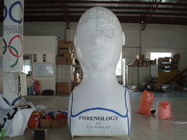 Hand Printing Nylon Fabric Custom Shaped Balloons Inflatable Hanging exporters