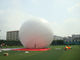 cheap 0.28mm Giant Advertising Balloon
