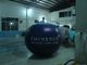 Reuseable 5ft Blueberry Fruit Shaped Balloons For Advertising , Inflatable Helium Balloon Ball factory