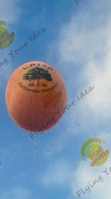 Air Brush UV Printed Wall Nut Fruit Shaped Balloons For Helium / Event Show 5m High